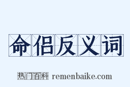 命侣反义词是什么意思的图片